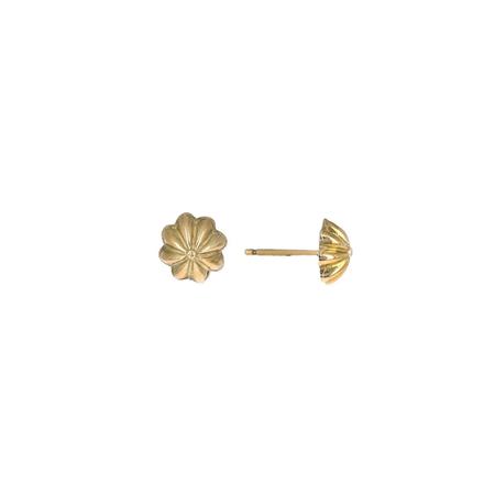 Gold Concha Stud Earrings